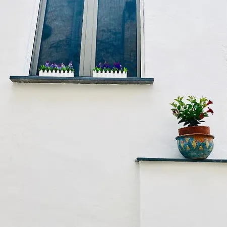 23 Guest house *
